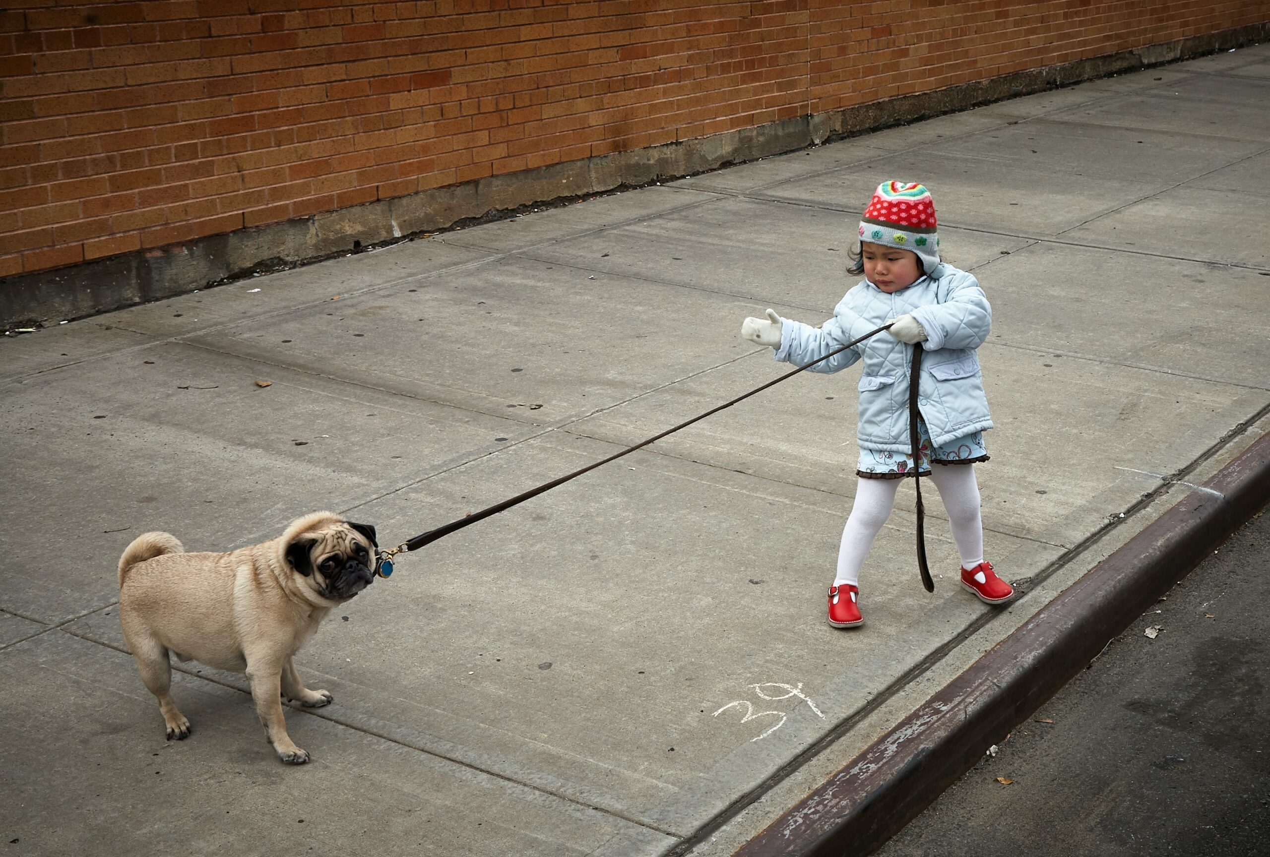 side hustles for teens dog walking