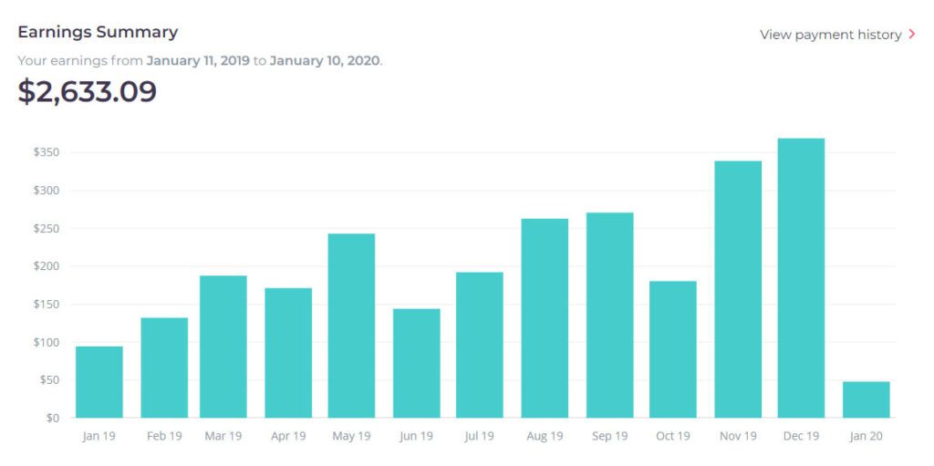 earnings summary redbubble 