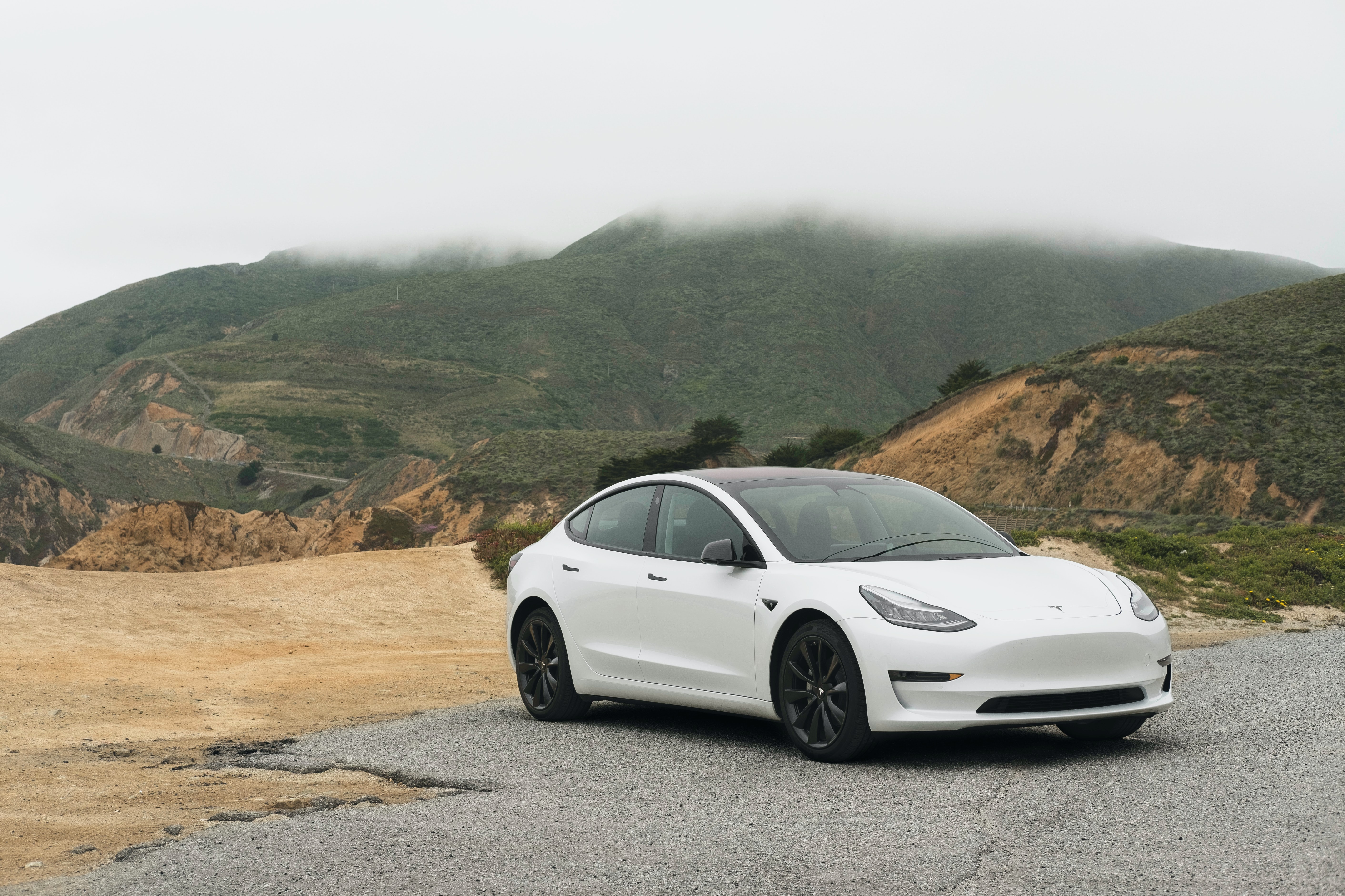 how much can my tesla make on turo?